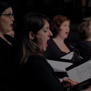 concerto-vocale-schweiz-header-media concerto-vocale-schweiz-header-media